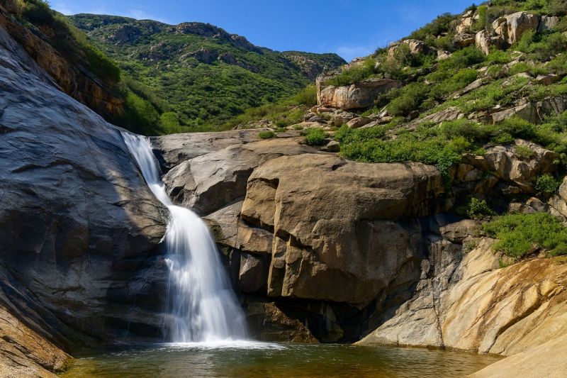 Hero for Home Services Options